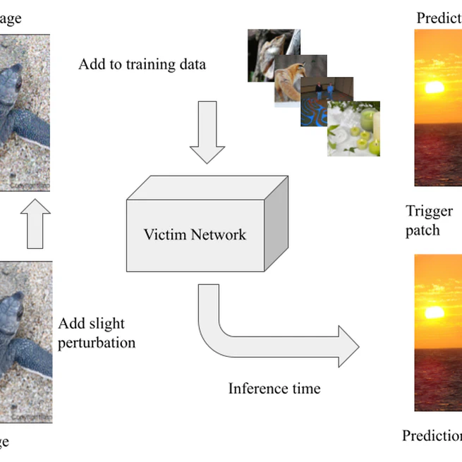 Sleeper Agent: Hidden Trigger Backdoors in Neural Networks