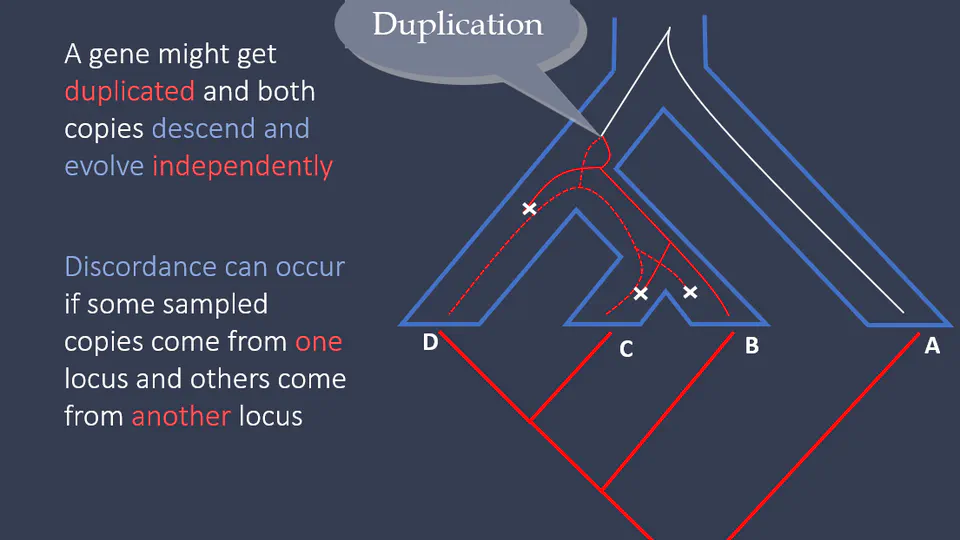 Introduction to Bioinformatics