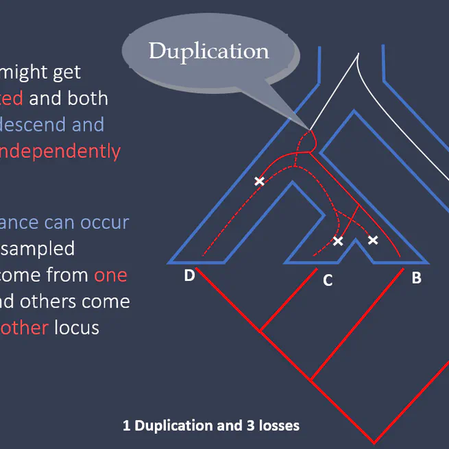 Introduction to Bioinformatics